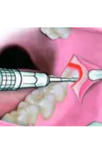 Unidental Care